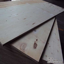 天阳工贸 通辽桦木胶合板高清大图鉴赏与专业解析