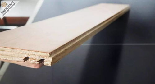 地板测评 中澳益家橡木卡扣地热地板基材性能深度解析